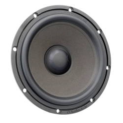 Głośnik średnio-niskotonowy Audiocircle CL-W6 165mm - widok na powlekaną membranę papierową