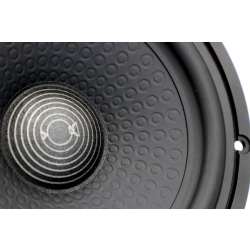 Detal specjalnie powlekanej membrany papierowej o wysokiej gęstości w Audiocircle HL-W6